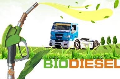 Biodiesel plants